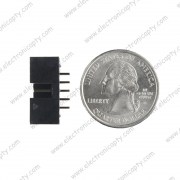 Conector hembra de 8 pin dobles (Socket header 8 pin)